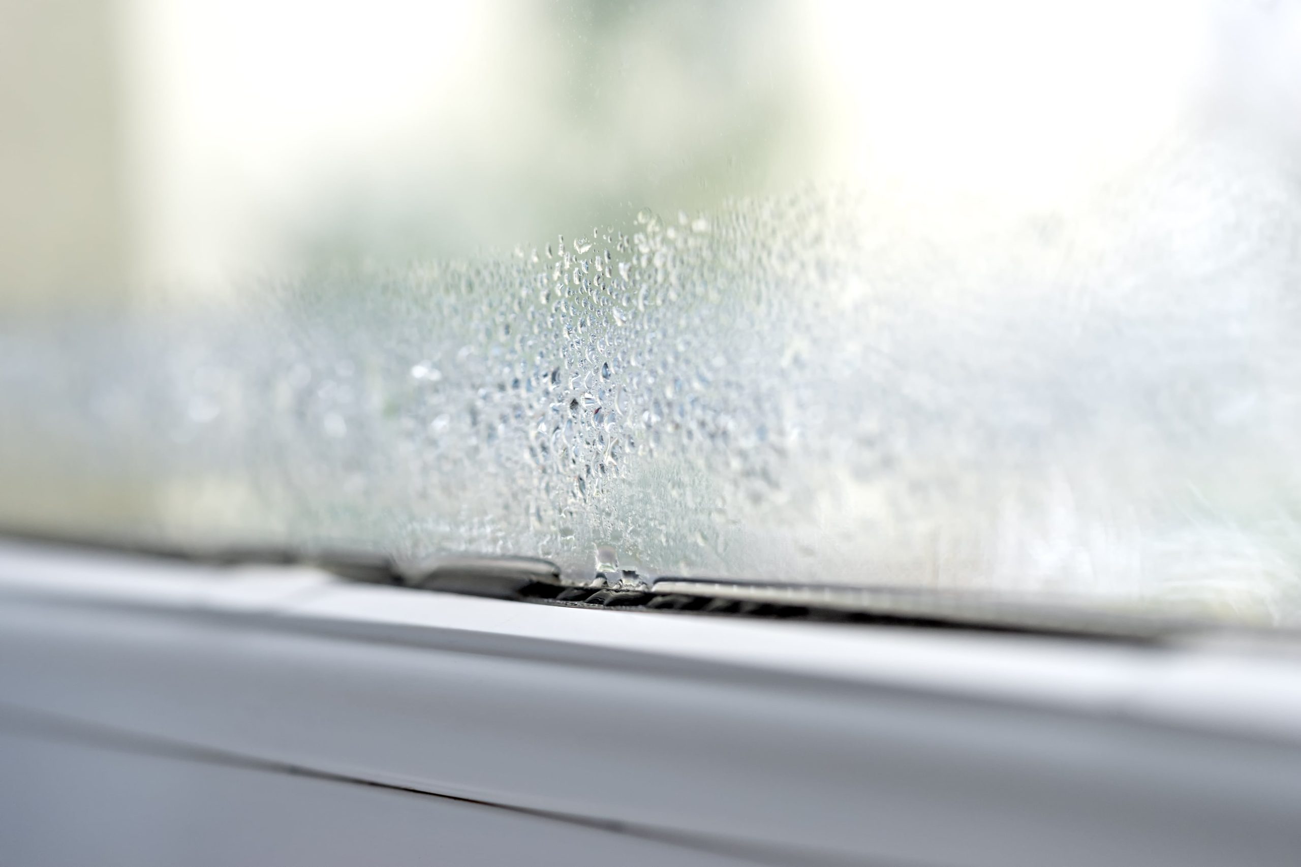condensation on glass