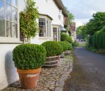 bow and bay windows near me